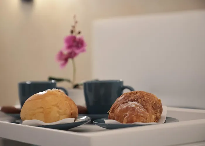 Eralight21 Case de vacanță